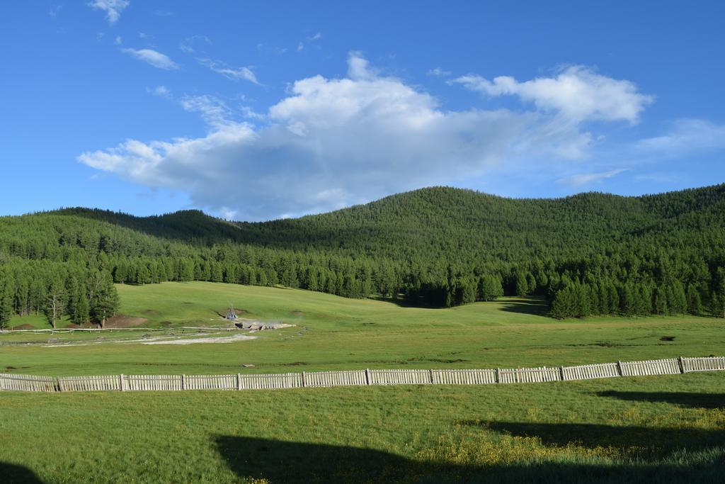 Wonder Mongolia Guesthouse And Tour Operator Llc Улан-Батор Экстерьер фото