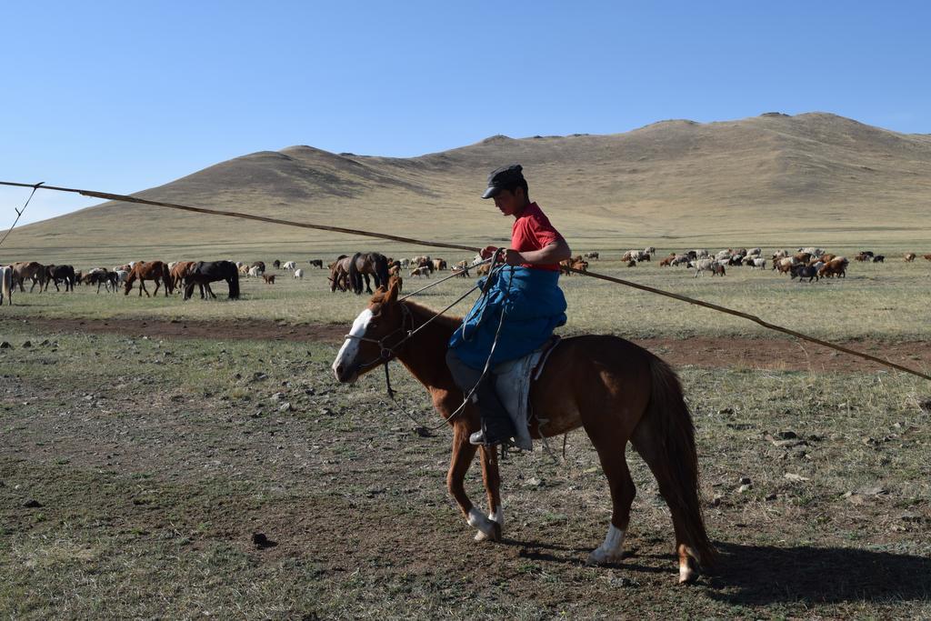 Wonder Mongolia Guesthouse And Tour Operator Llc Улан-Батор Экстерьер фото